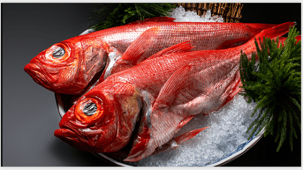 Kuriya Dining: Award-Winning Authentic Japanese Restaurant